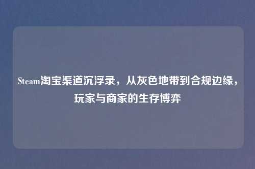 Steam 渠道沉浮录,从灰色地带到合规边缘,玩家与商家的生存博弈