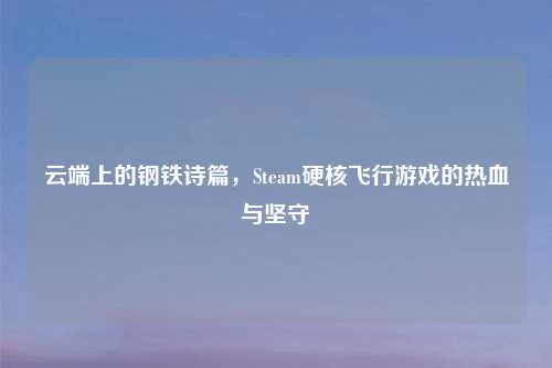 云端上的钢铁诗篇，Steam硬核飞行游戏的热血与坚守