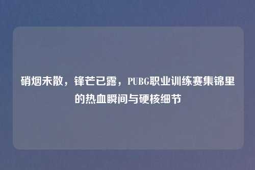 硝烟未散,锋芒已露,PUBG职业训练赛集锦里的热血瞬间与硬核细节