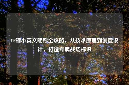 CF缩小英文昵称全攻略，从技术原理到创意设计，打造专属战场标识