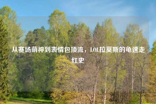 从赛场萌神到表情包顶流,LOL拉莫斯的龟速走红史
