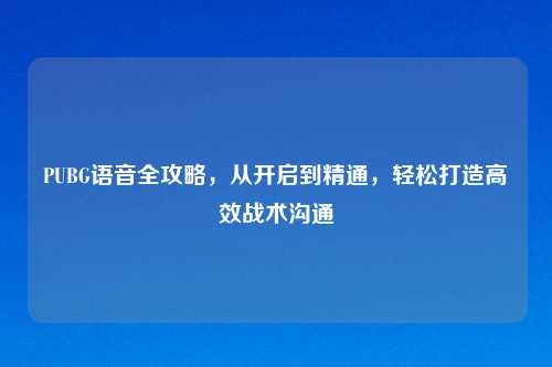 PUBG语音全攻略，从开启到精通，轻松打造高效战术沟通