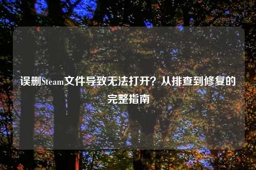 误删Steam文件导致无法打开?从排查到修复的完整指南