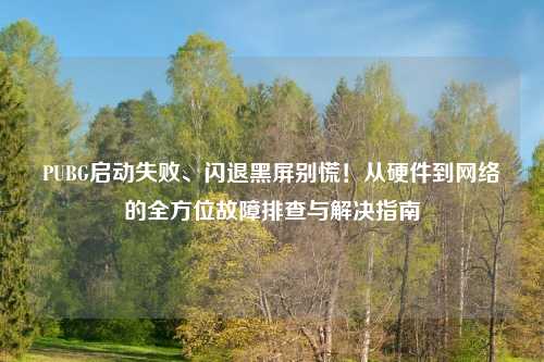 PUBG启动失败、闪退黑屏别慌！从硬件到     的全方位故障排查与解决指南