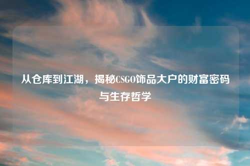 从仓库到江湖，揭秘CSGO饰品大户的财富密码与生存哲学