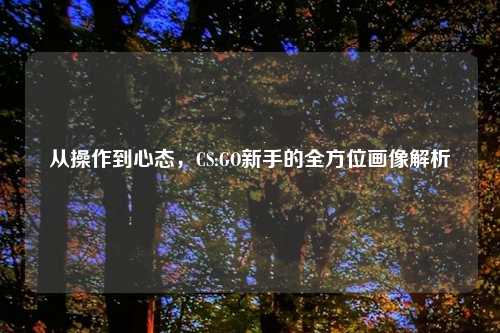 从操作到心态，CS:GO新手的全方位画像解析