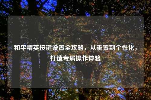 和平精英按键设置全攻略,从重置到个性化,打造专属操作体验