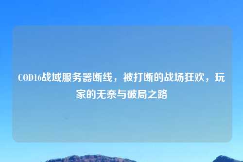 COD16战域服务器断线,被打断的战场狂欢,玩家的无奈与破局之路