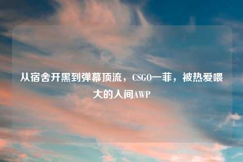 从宿舍开黑到弹幕顶流,CSGO一菲,被热爱喂大的人间AWP