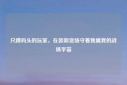 只蹲码头的玩家，在装卸货场守着独属我的战场宇宙