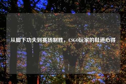 从脚下功夫到赛场制胜，CSGO玩家的鞋道心得