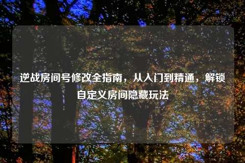 逆战房间号修改全指南,从入门到精通,解锁自定义房间隐藏玩法