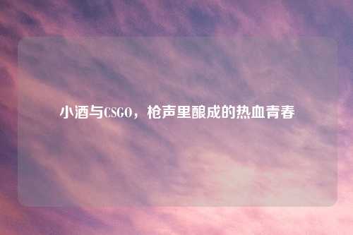 小酒与CSGO,枪声里酿成的热血青春