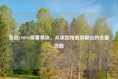 告别COD16屏幕黑块，从成因排查到根治的全面攻略
