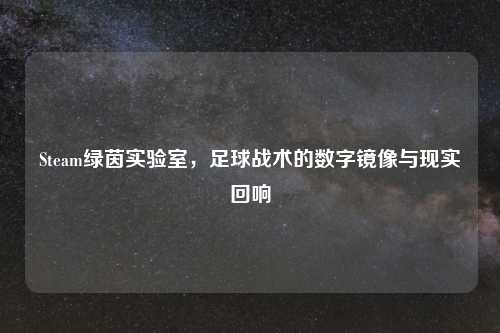 Steam绿茵实验室,足球战术的数字镜像与现实回响