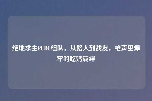 绝地求生PUBG组队,从路人到战友,枪声里焊牢的吃鸡羁绊