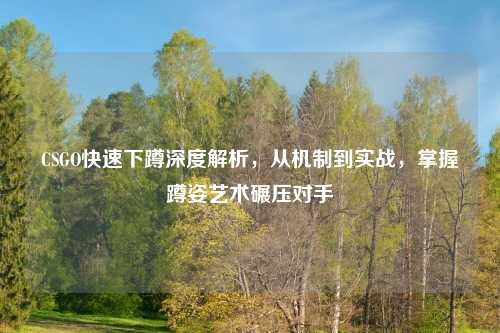 CSGO快速下蹲深度解析,从机制到实战,掌握蹲姿艺术碾压对手