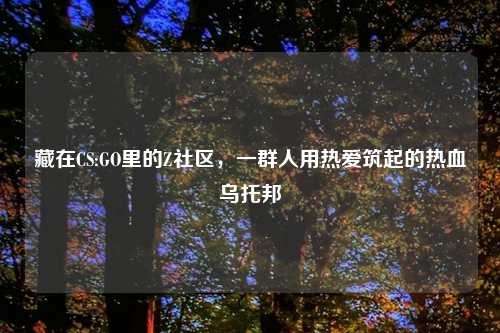 藏在CS:GO里的Z社区，一群人用热爱筑起的热血乌托邦