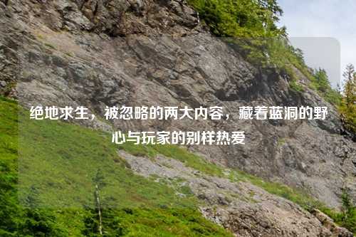 绝地求生,被忽略的两大内容,藏着蓝洞的野心与玩家的别样热爱