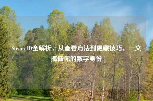 Steam ID全解析,从查看 到隐藏技巧,一文搞懂你的数字身份