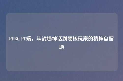 PUBG PC端，从战场神话到硬核玩家的精神自留地