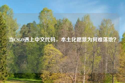 当CSGO遇上中文代码,本土化愿景为何难落地?