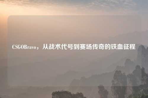 CSGOBravo，从战术代号到赛场传奇的铁血征程