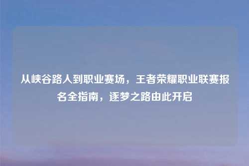 从峡谷路人到职业赛场,王者荣耀职业联赛报名全指南,逐梦之路由此开启