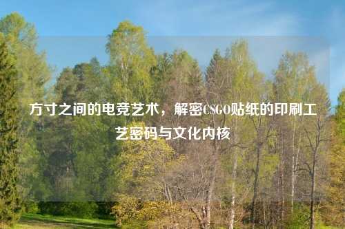 方寸之间的电竞艺术，解密CSGO贴纸的印刷工艺密码与文化内核