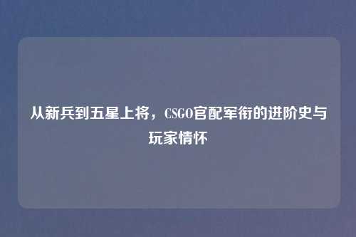 从新兵到五星上将，CSGO官配军衔的进阶史与玩家情怀