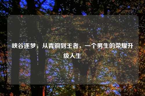 峡谷逐梦,从青铜到王者,一个男生的荣耀升级人生