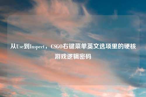 从Use到Inspect，CSGO右键菜单英文选项里的硬核游戏逻辑密码