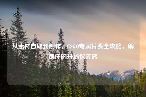 从素材自取到     ，CSGO专属片头全攻略，解锁你的开场仪式感