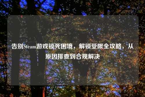 告别Steam游戏锁死困境,解锁受限全攻略,从原因排查到合规解决