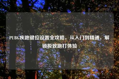 PUBG疾跑键位设置全攻略，从入门到精通，解锁极致跑打体验
