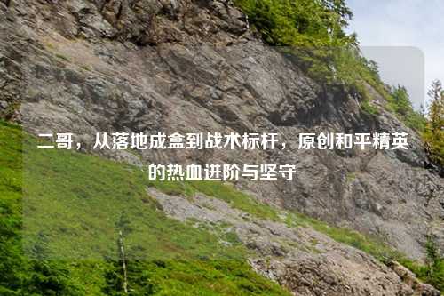 二哥，从落地成盒到战术标杆，原创和平精英的热血进阶与坚守