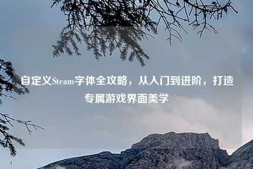 自定义Steam字体全攻略，从入门到进阶，打造专属游戏界面美学