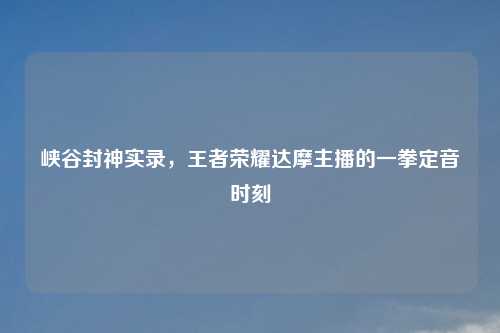 峡谷封神实录，王者荣耀达摩主播的一拳定音时刻