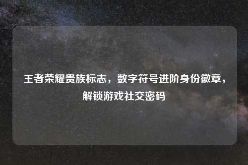 王者荣耀贵族标志，数字符号进阶身份徽章，解锁游戏社交密码