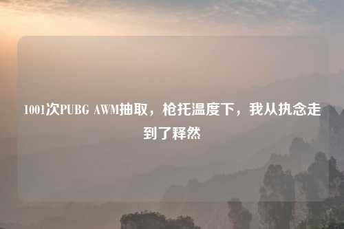 1001次PUBG AWM抽取,枪托温度下,我从执念走到了释然