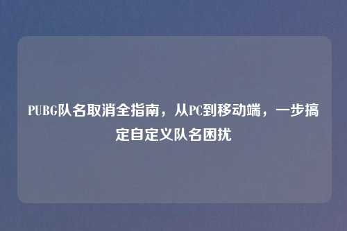 PUBG队名取消全指南，从PC到移动端，一步搞定自定义队名困扰