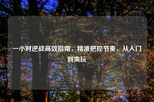一小时逆战高效指南，精准把控节奏，从入门到爽玩