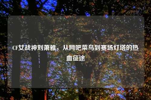 CF女战神刘萧雅,从网吧菜鸟到赛场灯塔的热血征途