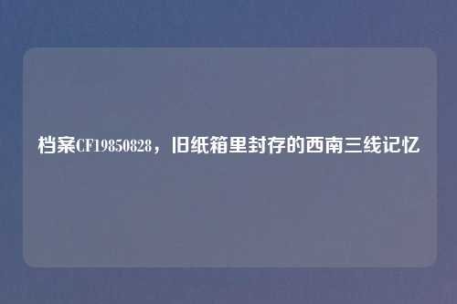 档案CF19850828，旧纸箱里封存的西南三线记忆