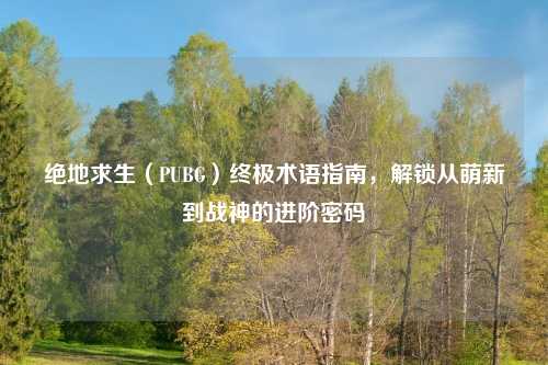 绝地求生(PUBG)终极术语指南,解锁从萌新到战神的进阶密码