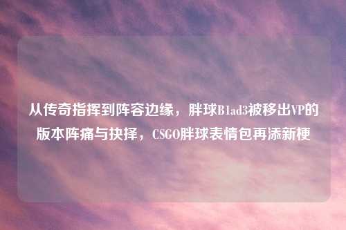 从传奇指挥到阵容边缘,胖球B1ad3被移出VP的版本阵痛与抉择,CSGO胖球表情包再添新梗