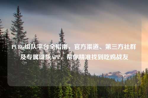 PUBG组队平台全指南,官方渠道、第三方社群及专属组队APP,帮你精准找到吃鸡战友