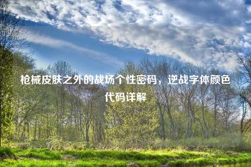 枪械皮肤之外的战场个性密码，逆战字体颜色代码详解