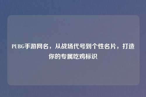 PUBG手游网名，从战场代号到个性名片，打造你的专属吃鸡标识