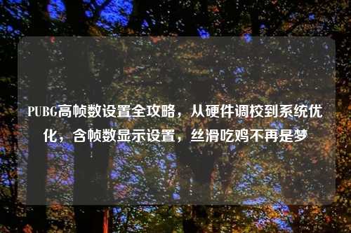 PUBG高帧数设置全攻略,从硬件调校到系统优化,含帧数显示设置,丝滑吃鸡不再是梦